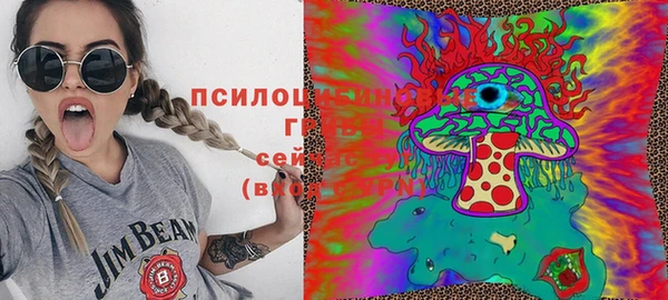 соль курить ск Алексеевка