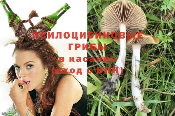 PSILOCYBIN Алексин
