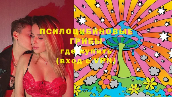 PSILOCYBIN Алексин