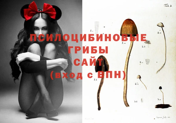 мдпв Нефтегорск