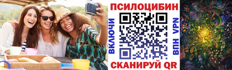 купить  сайты  KRAKEN ONION  Галлюциногенные грибы Cubensis  Среднеколымск 